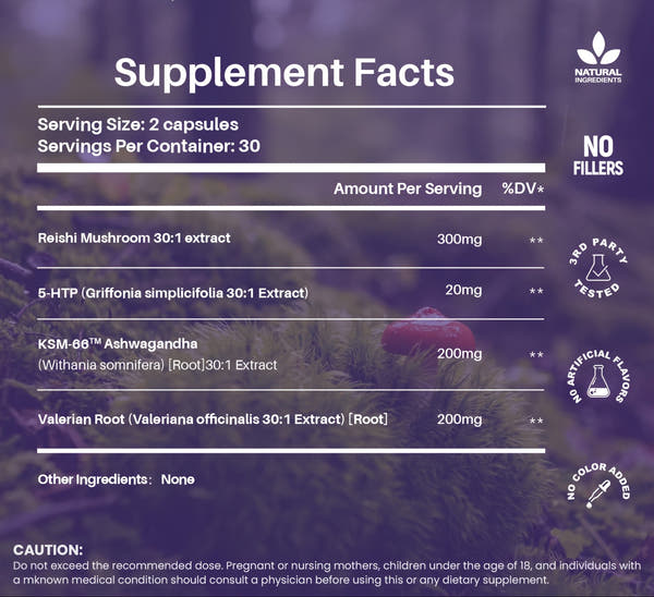 MEGNETA Awesome Sleep Supplement Melatonin 10mg (60 Capsule)